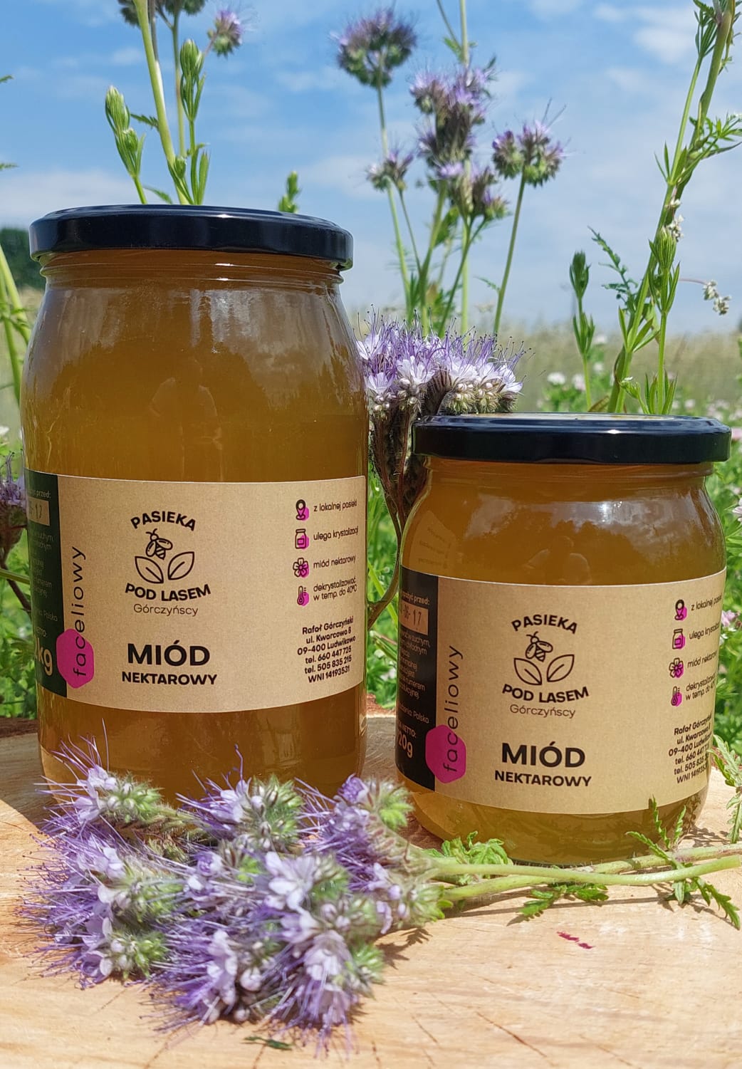 Miód faceliowy naturalny w słoiku z Pasieki Pod Lasem Górczyńscy