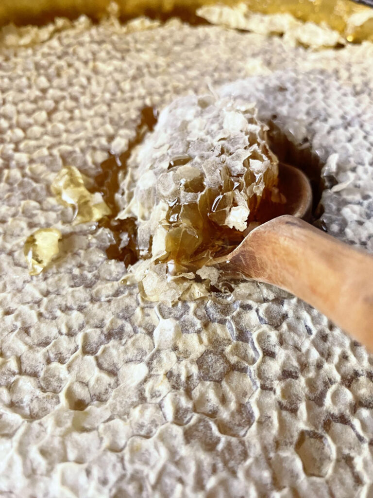 plaster miodu